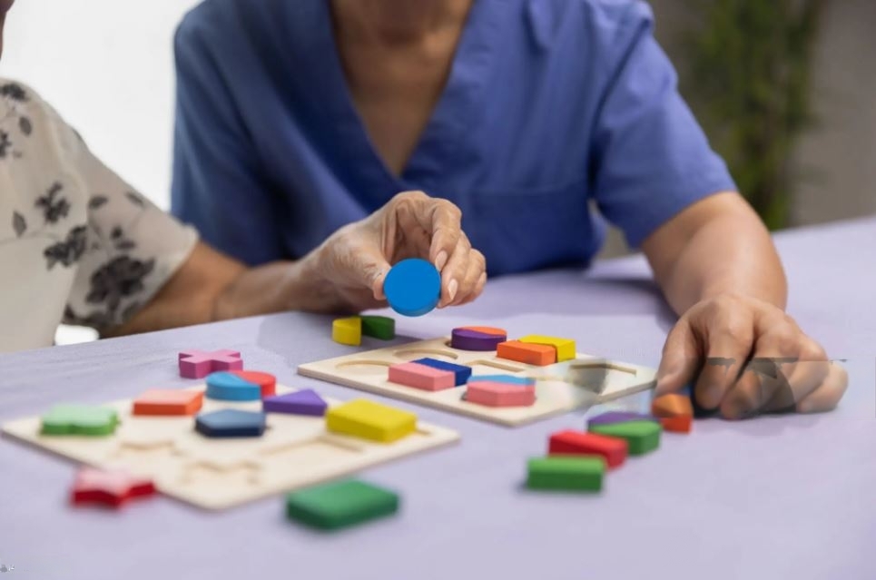 Navigating the Challenges of Dementia Care: Senior Caregiving Tips and Strategies 1 Challenges of Dementia Care