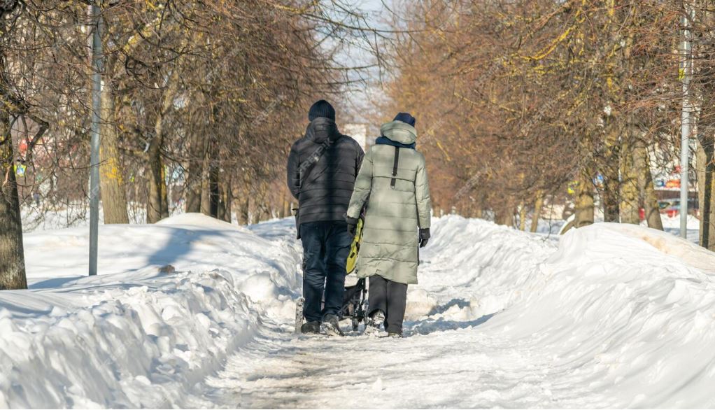 Cold Winter Challenge: Safeguarding Seniors and Disabled Individuals in Canada 2024 3 Limited mobility